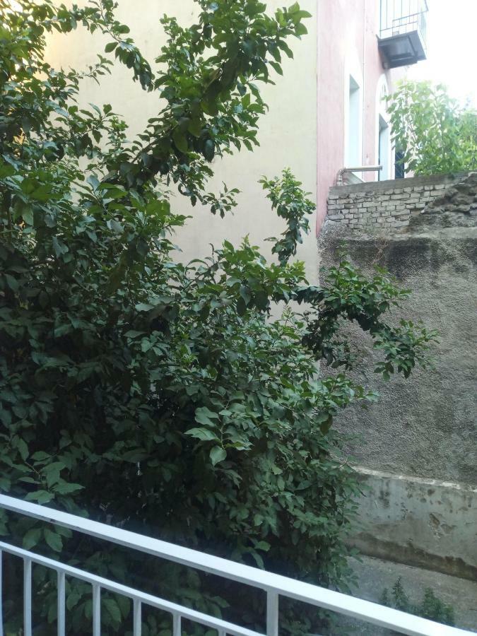 New With A Separate Entrance Near The Subway. Apartment *